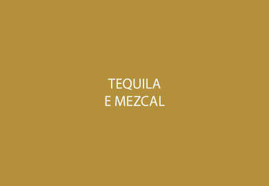 Tequila e Mezcal